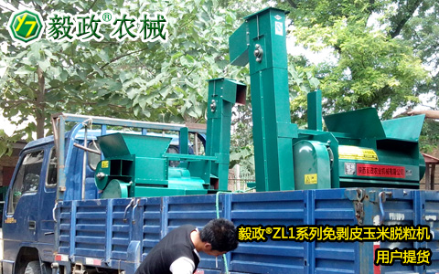 外地客戶(hù)來(lái)我司提取2臺(tái)毅政牌ZL1D型電機(jī)式免剝皮玉米脫粒機(jī)