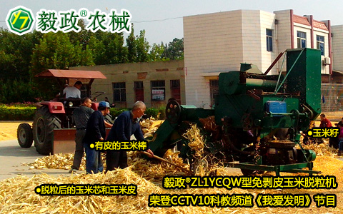 中央電視臺10套《我愛發(fā)明》之“巧剝黃金?！秉S金巧幫手